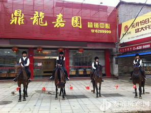 歡樂五一，來鼎龍嘉園免費騎馬玩?。埬緲I邀您共度佳節